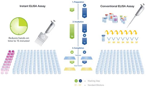 how does an elisa kit work|elisa technical guide and protocols.